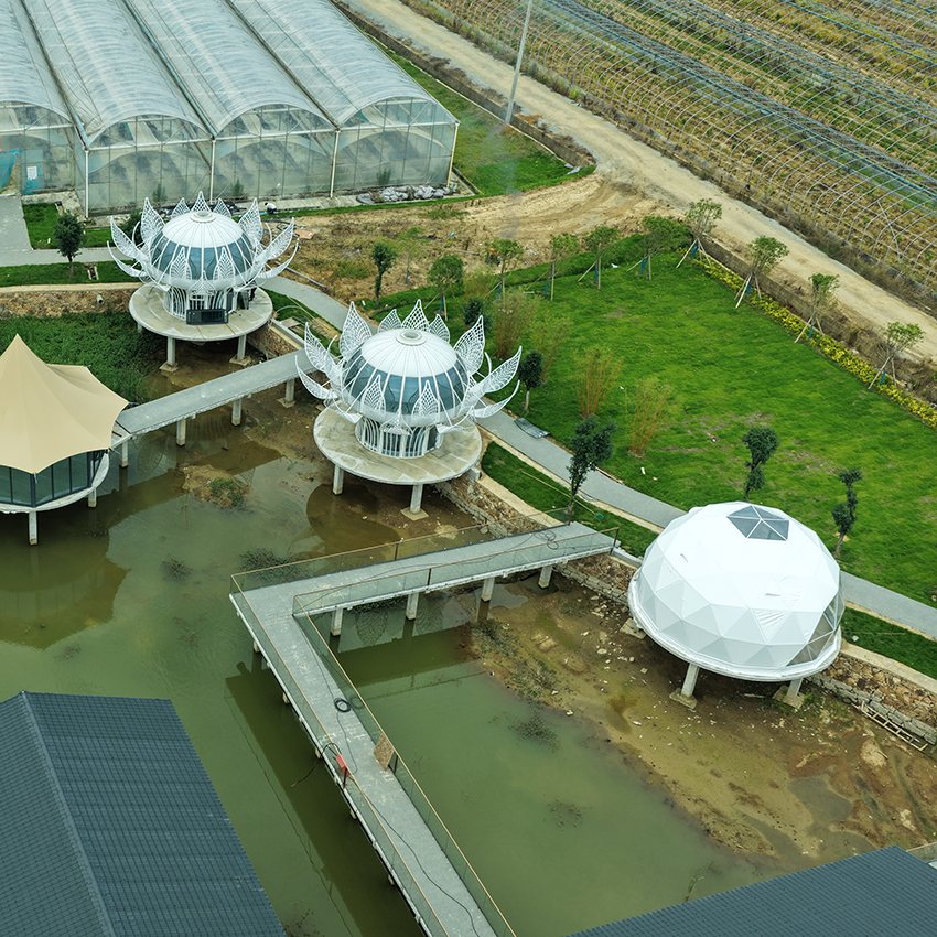 Geodesic Dome Tents: The Ultimate Guide to Luxury Glamping & Outdoor Living - 图片 5